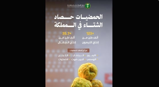 «البيئة»: شتاء المملكة يشهد إنتاجًا مميزًا من الحمضيات