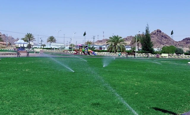 حائل تحصد جائزة المدينة العربية الخضراء 
