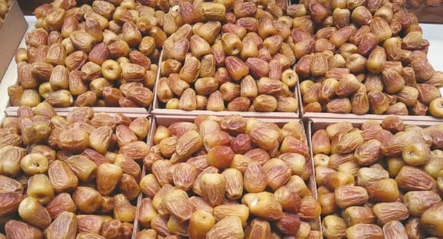 بنحو 584 ألف طن و30 صنفًا.. تمور القصيم تُزيّن موائد رمضان بتنوع وفوائد غذائية