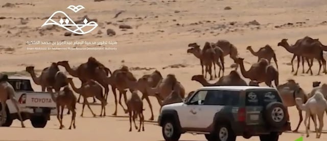 هيئة تطوير محمية الإمام عبدالعزيز تشدد على منع الرعي دون تصريح وتؤكد تطبيق العقوبات النظامية
